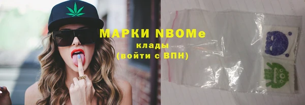 прущие грибы Нягань
