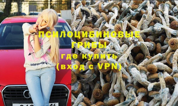 прущая мука Абаза