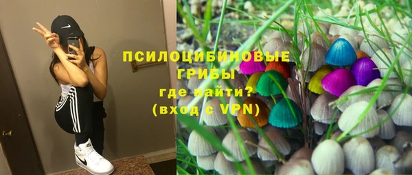 прущие грибы Нягань